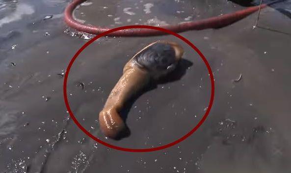 4af900049bac77cd2b5f