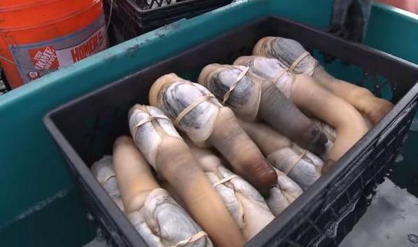 4afc00025acf6e9496ee