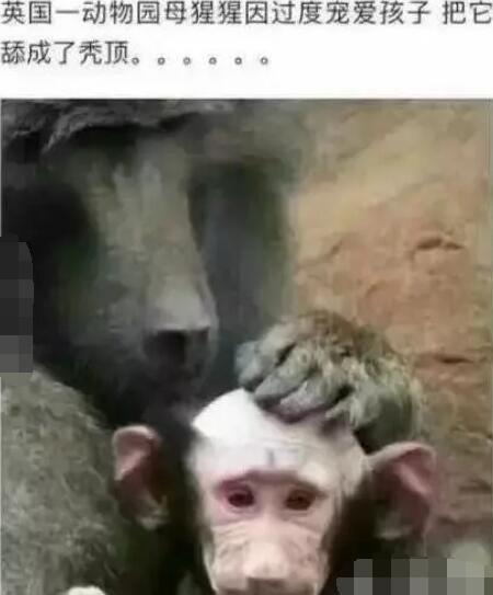4b0100015c840e91467f