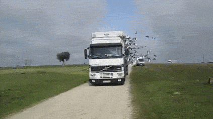 4e5900002e2222197448