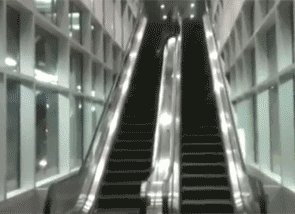 4b03000446ddb3961b8f