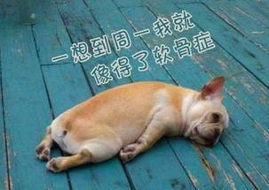4b040001575d95bd80a7