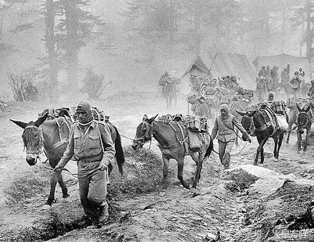 4e5c00035afc63fb3ee4