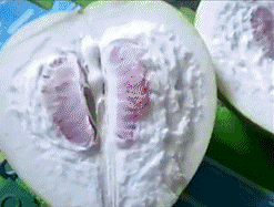 4e5d0000fc45bb15757d