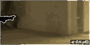 4e5c0003b4fcc40a184f