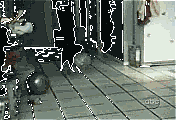 4e5b0003f9b5dadbc9bb