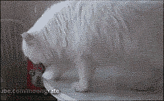 4e5c0003b502937300a3