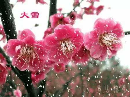 4e680001ca82f5319102
