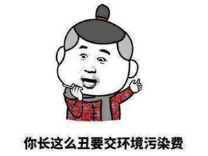 4e6500043cd30333b341