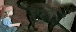 4e700004317745c08eba