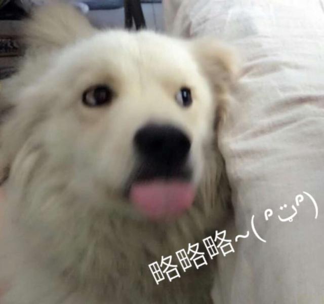 4e7d0000e4a027c35ad4