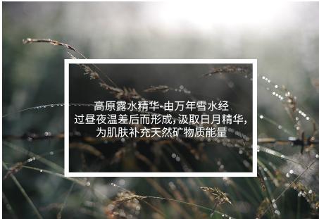 4e7e000184c5888d04c8