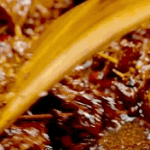 5092000260d607e5b941