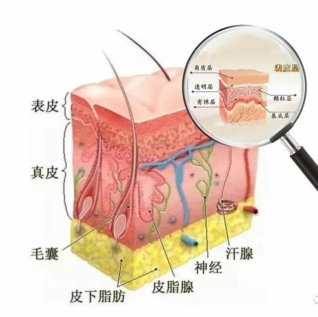 5096000119b8c5887d41
