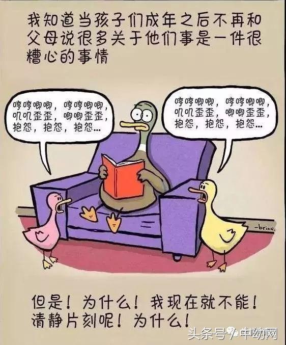 4e7f00040a0f23a237f8