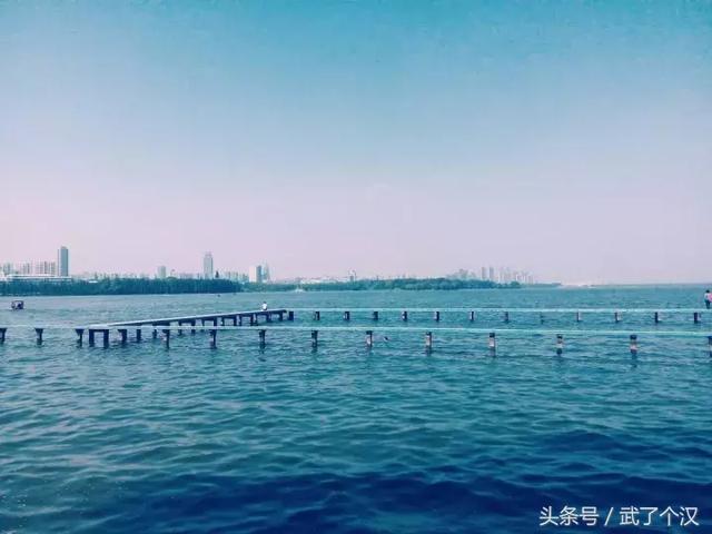509a00021731d023460a