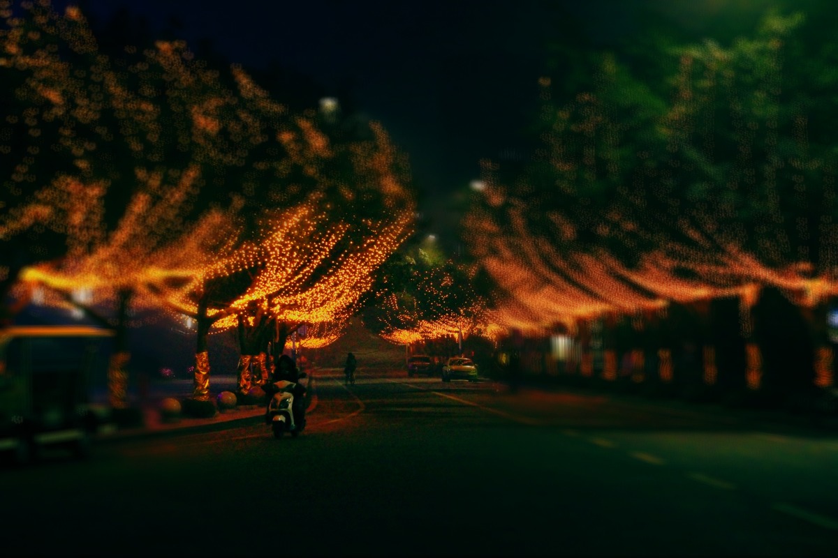 32474424_tt
