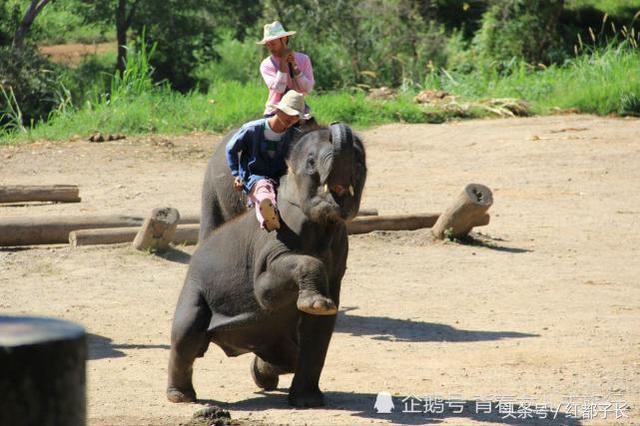 53e300041570ab2e8cd5