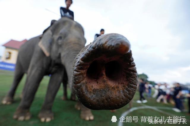 53e30004156e6b4d59ac