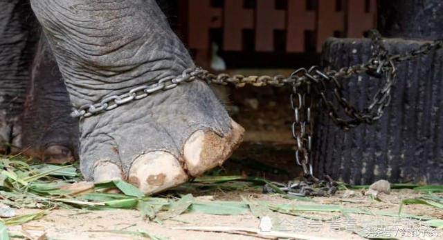 53e30004156f9436f648