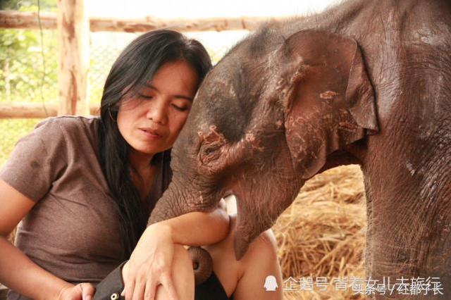 50ae0004900fe1338d24