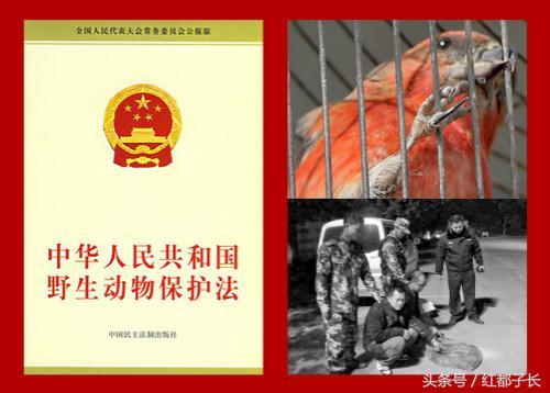 53e70001d53564804cdc