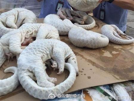 50ae00049012a66187a5