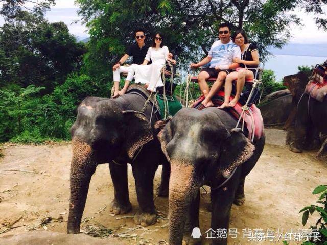 50af000464fa4a6aa328