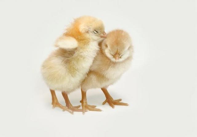 53e6000577a0597de07c