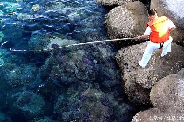 53eb0001c1ddf442806e