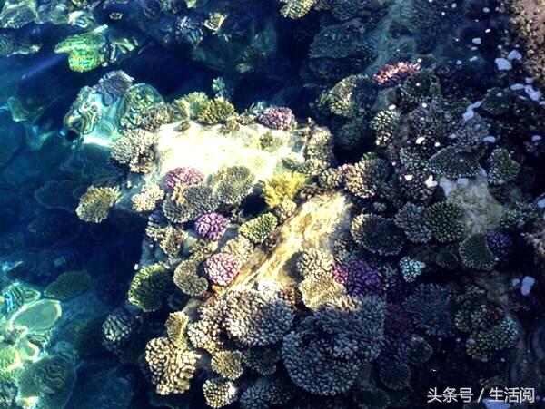 53e900023ea8815b3ce7