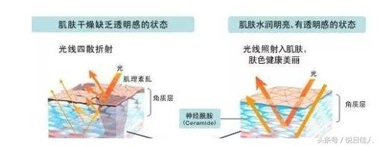 53e80004cb3c4dce8a90