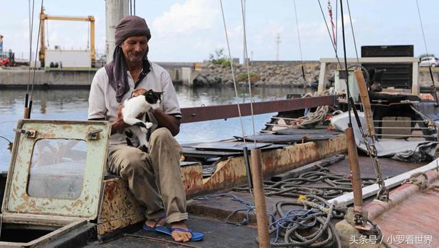 53e8000523602e2baadd