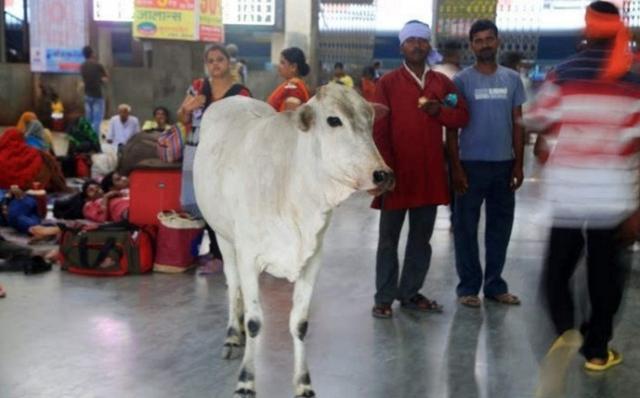 53ec00052fd93c59cef7