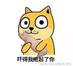 53ee0003f2a4b67184b5