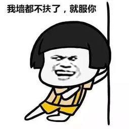 53f50003b8eb6982d87c