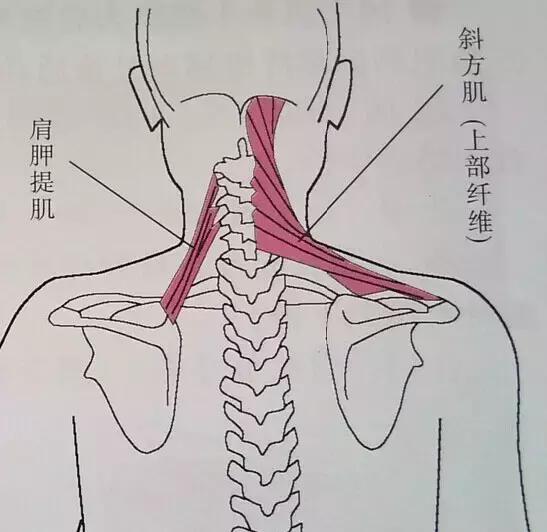 53fb0003d78877cda541