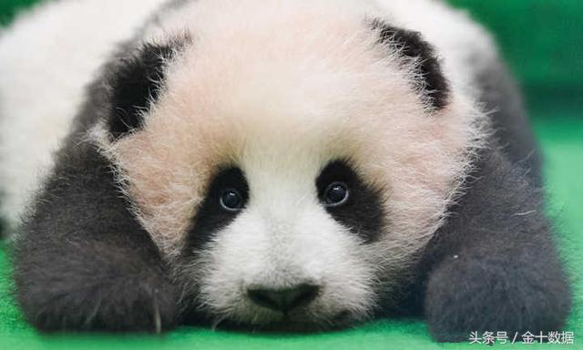 53fe00007b5ed8dcfd8c