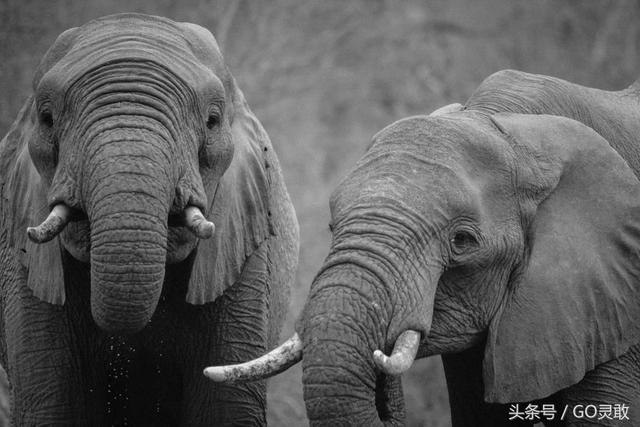 53fc0005134430b9bed6