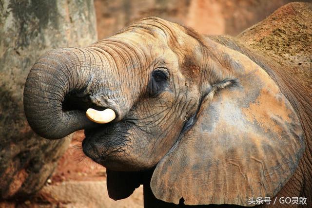 53fc0005137371204998