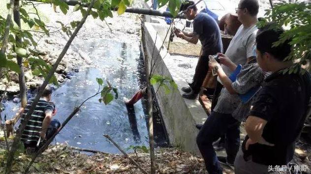 54000004013216e61611