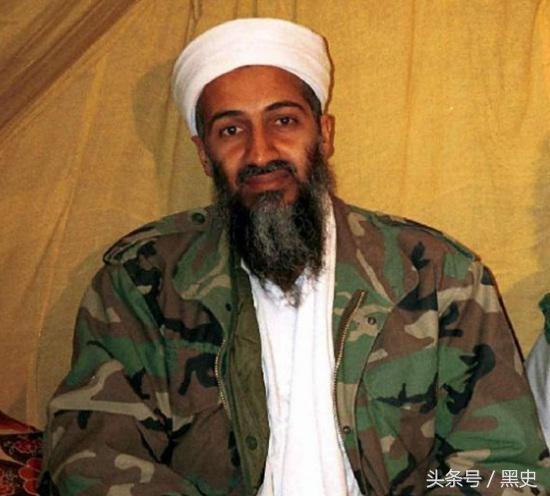 53fd0004295b497500f5