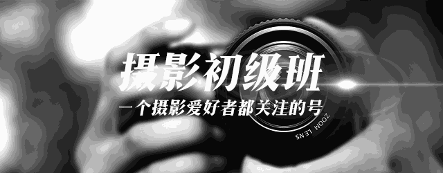 53ff0004c5155e4428a4