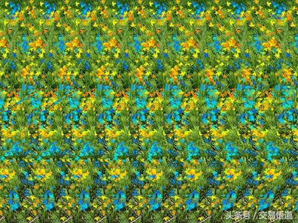 5689000289c8191a5ce4