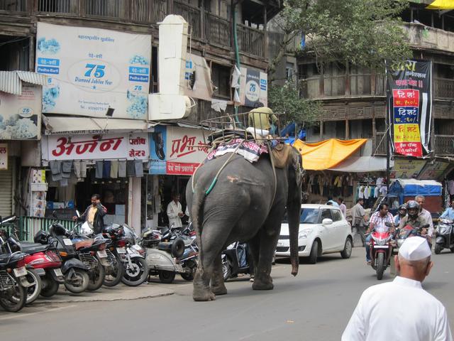 568e00025f84f75a67fe