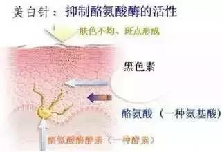 568d00037a849dc7e3d4