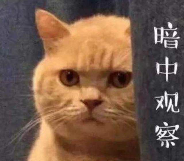 59300000e931bf477641