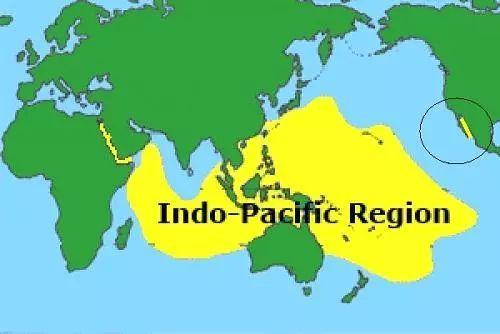 593300024d58addd56e1