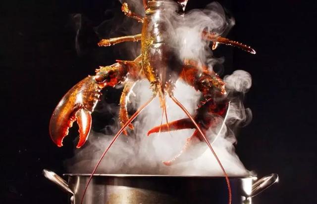 59310002d31f56122fc8