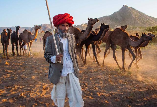 59330002847903595987